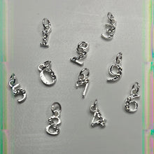 Load image into Gallery viewer, Charms (Metal)